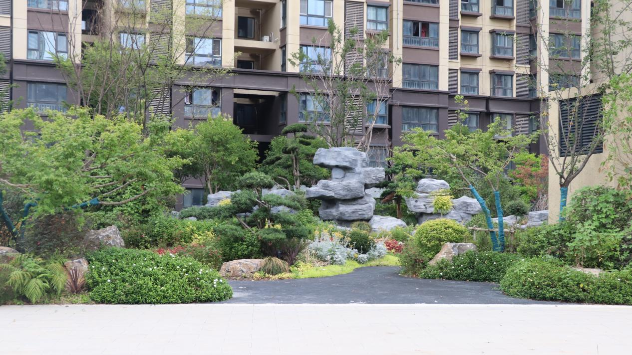 “生涯惬意，服务中意” 葛塘西片区地块保险房交付回访业主这样说