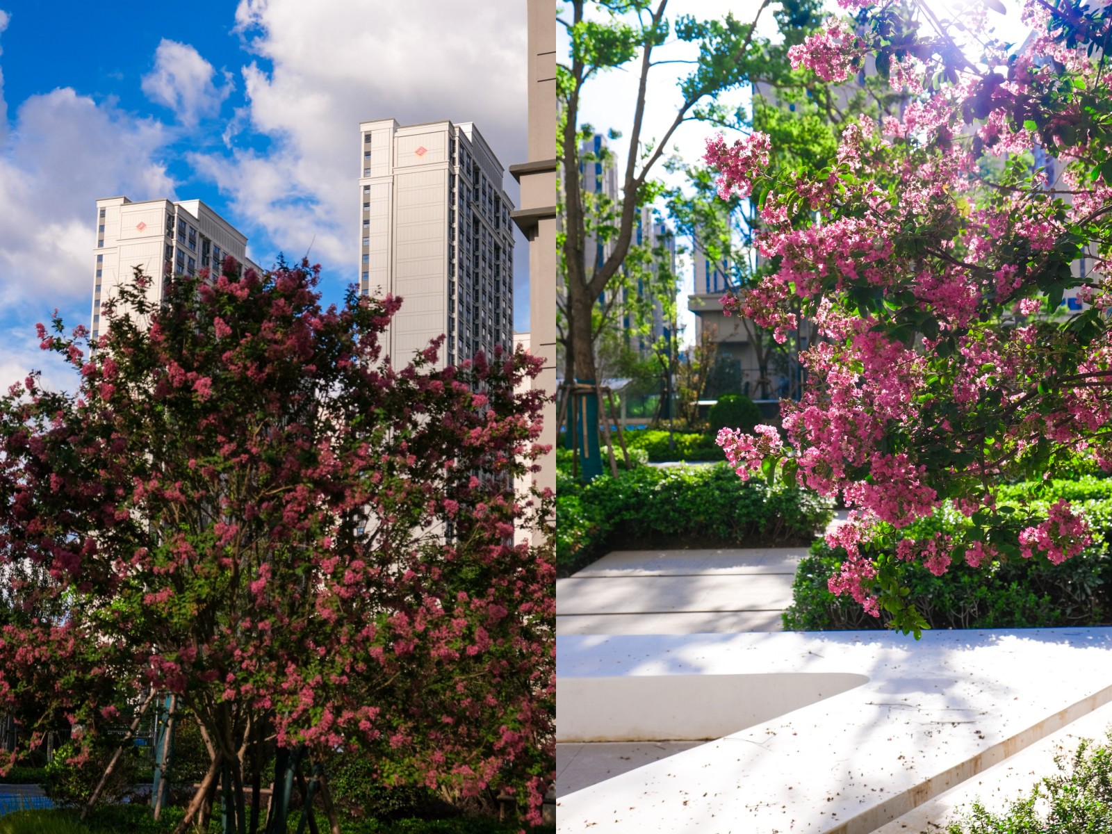 台风过境，这一大波民生项目be like（图说保险房）